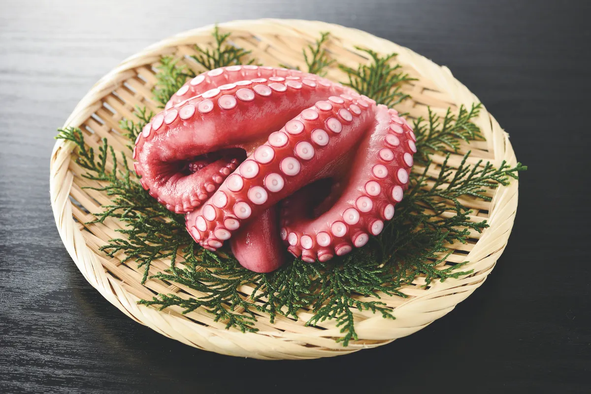 食