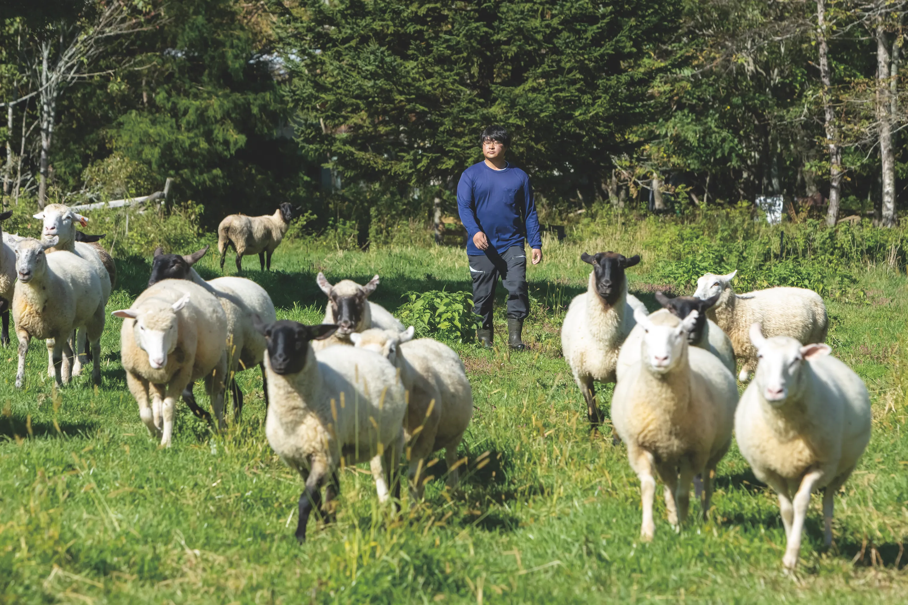 町民の声（三宅 拓海さん）