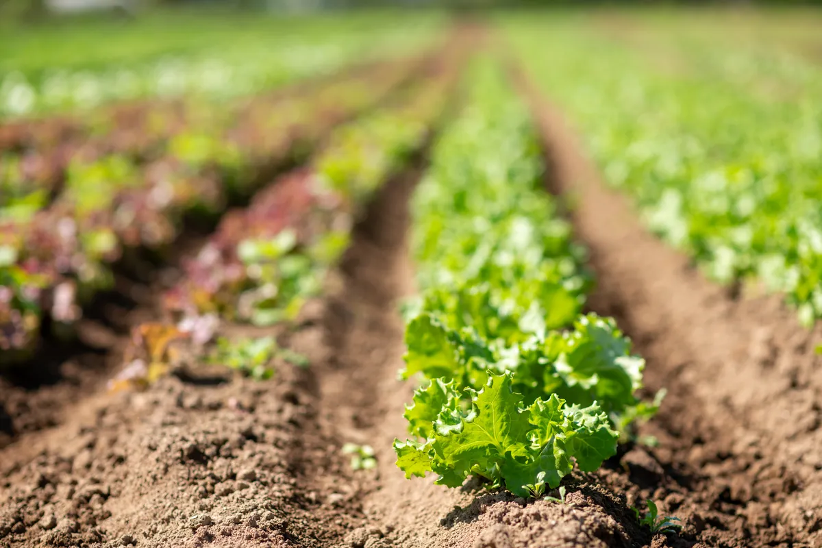 白糠で見つける、新しい働き方