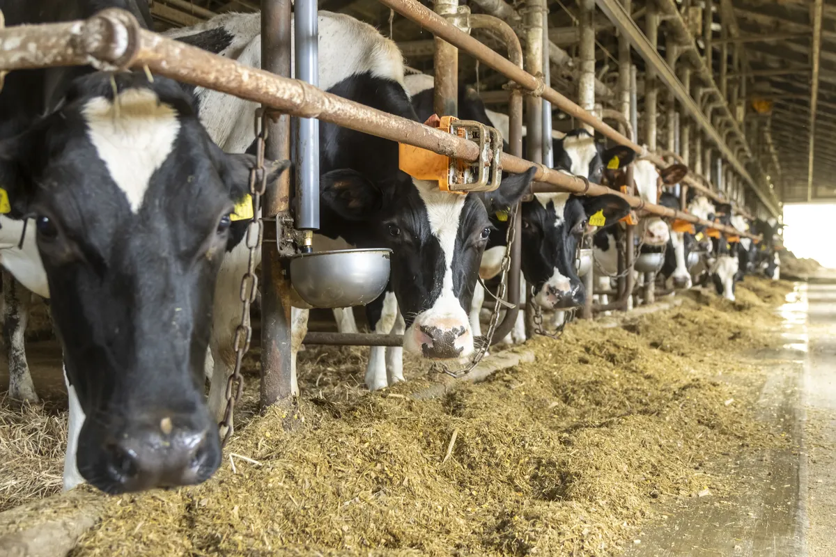 白糠で見つける、新しい働き方