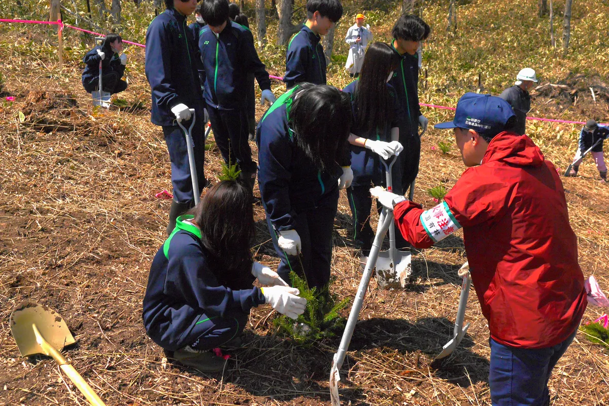 環境鮮麗学